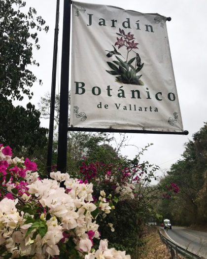 Botanical Garden in Puerto Vallarta